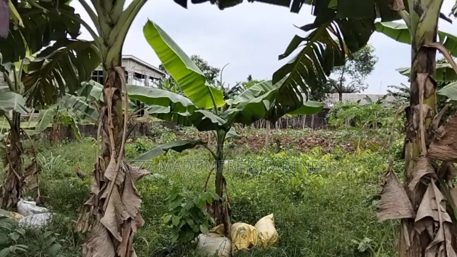 For Sale : 2 Plots at New Gra Phase 8 Eliozu, Ph