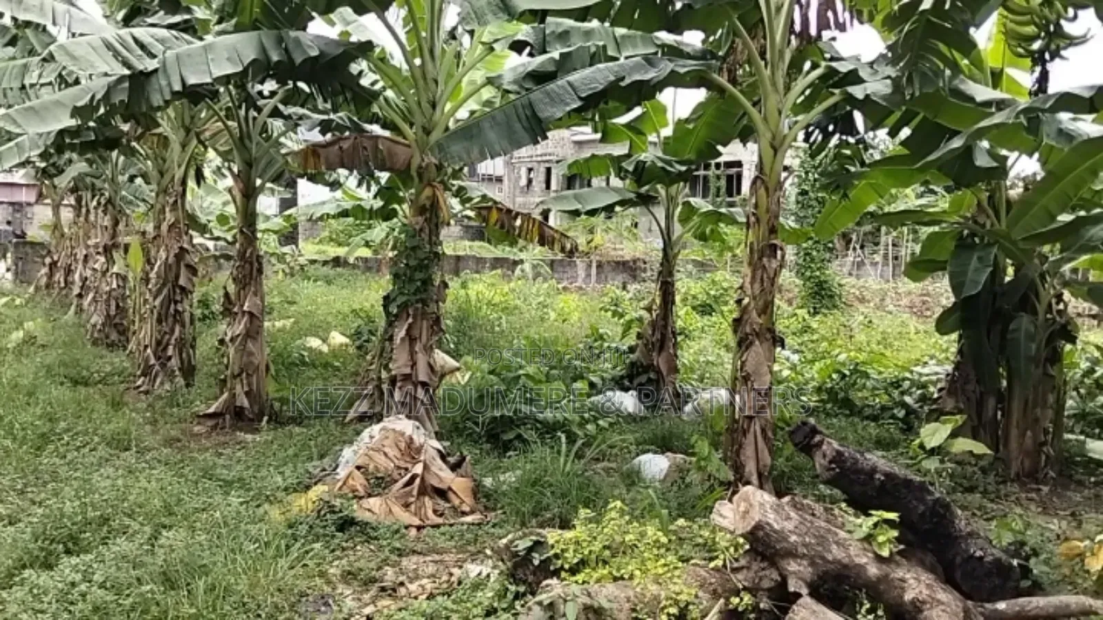 For Sale : 2 Plots at New Gra Phase 8 Eliozu, Ph