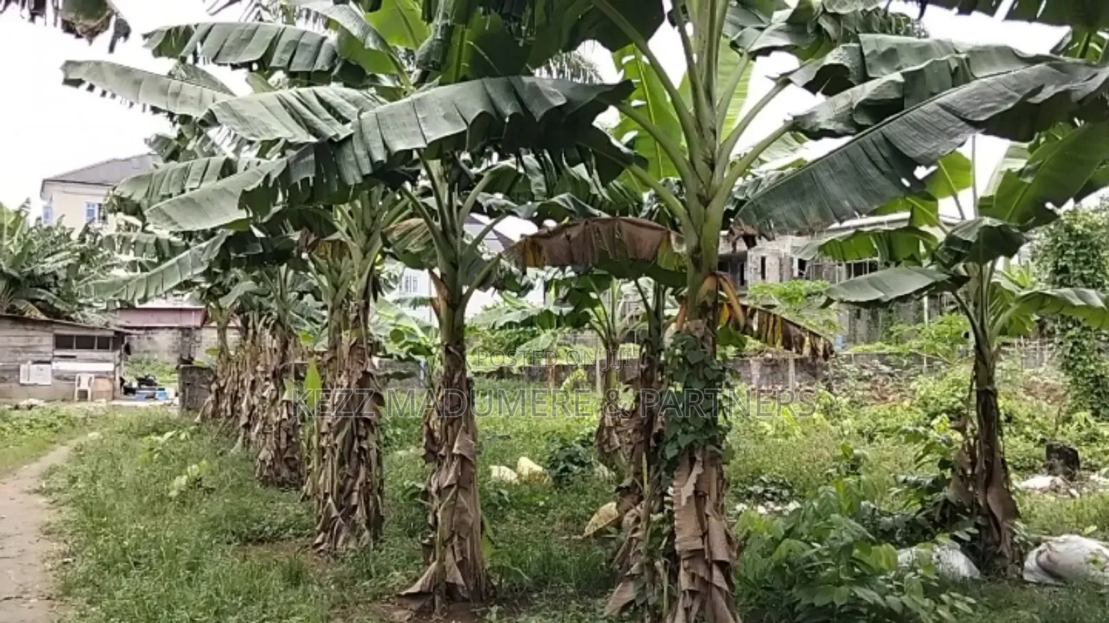 For Sale : 2 Plots at New Gra Phase 8 Eliozu, Ph