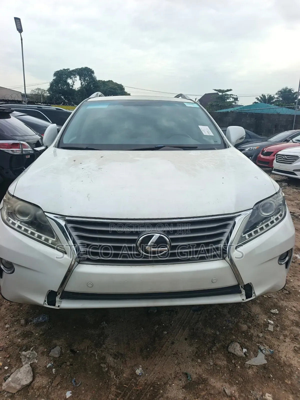 Lexus RX 2013 White