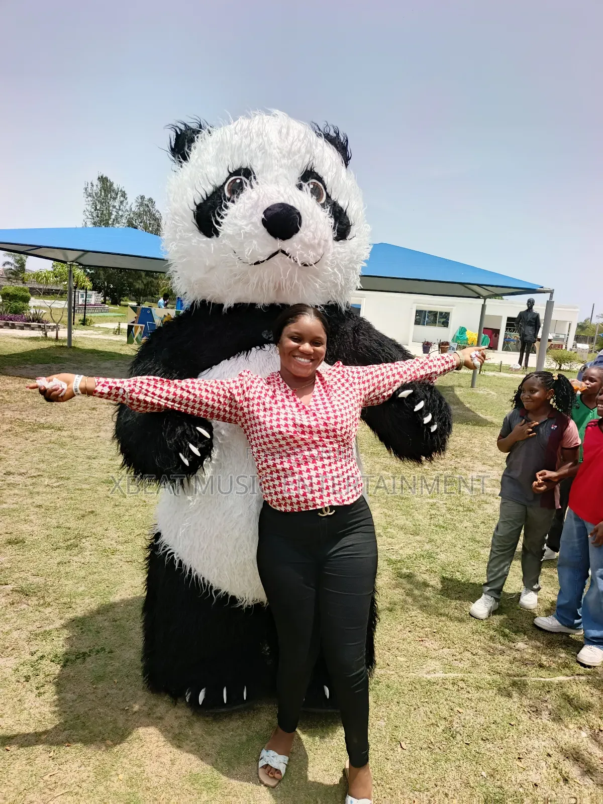 Panda Costumes For Rent/Hire