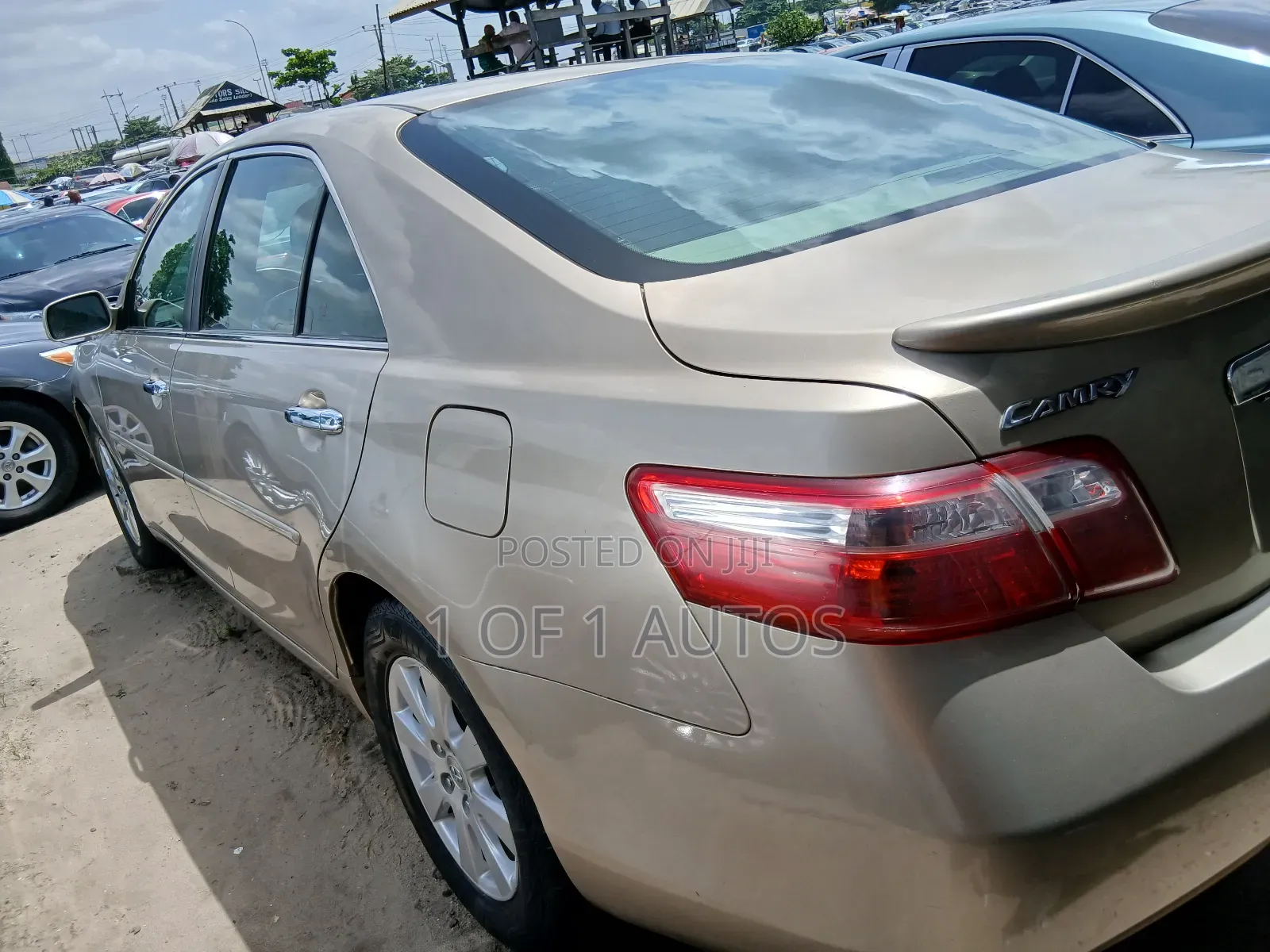 Toyota Camry XLE 4dr Sedan (2.4 4cyl 5A) 2008 Green