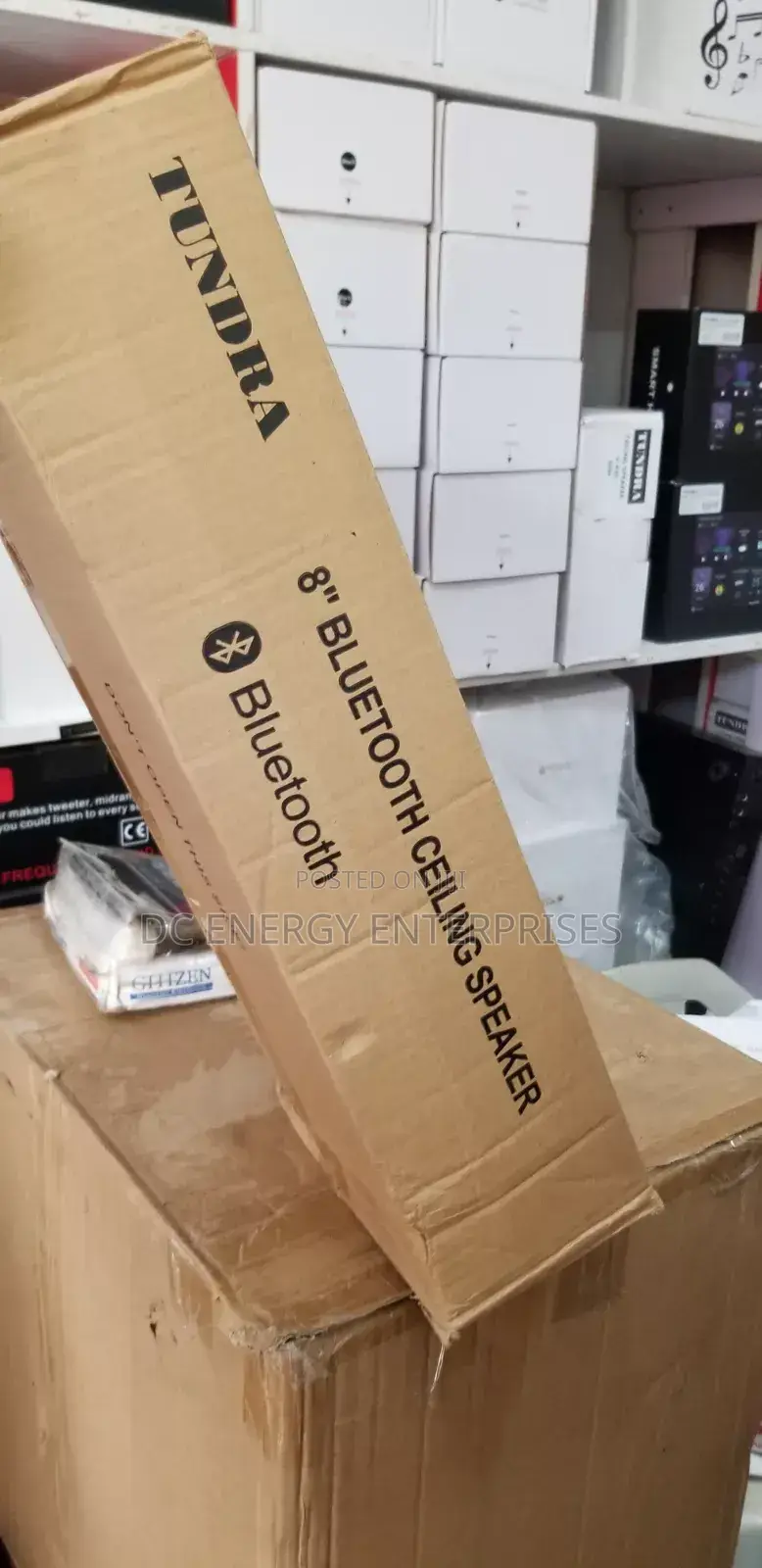 Ceiling Bluetooth Speaker