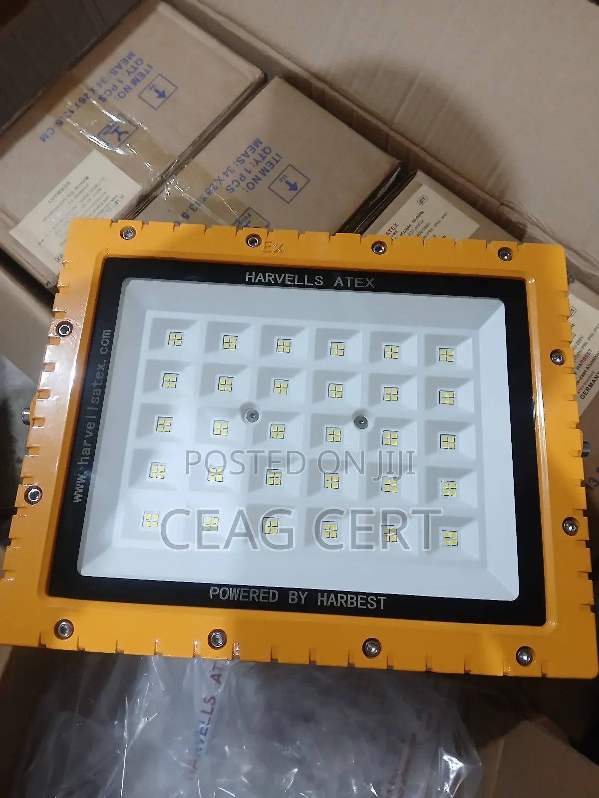 Explosion Proof Atex Flood Light
