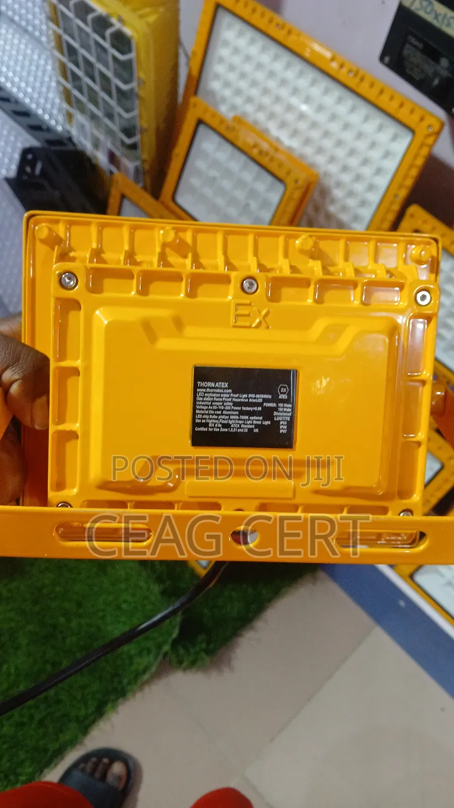 100w Thorn Flood Light Atex