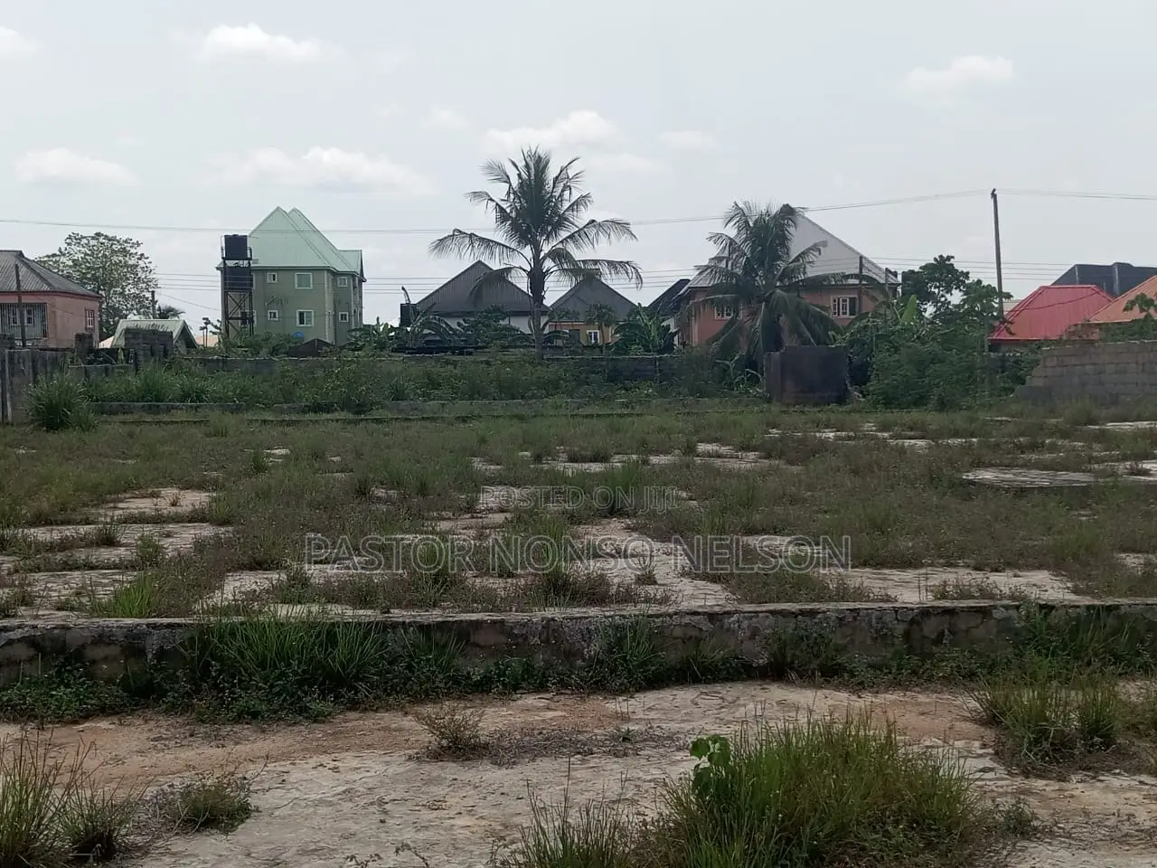 4 Shareable Plots at Obinze Behind White House