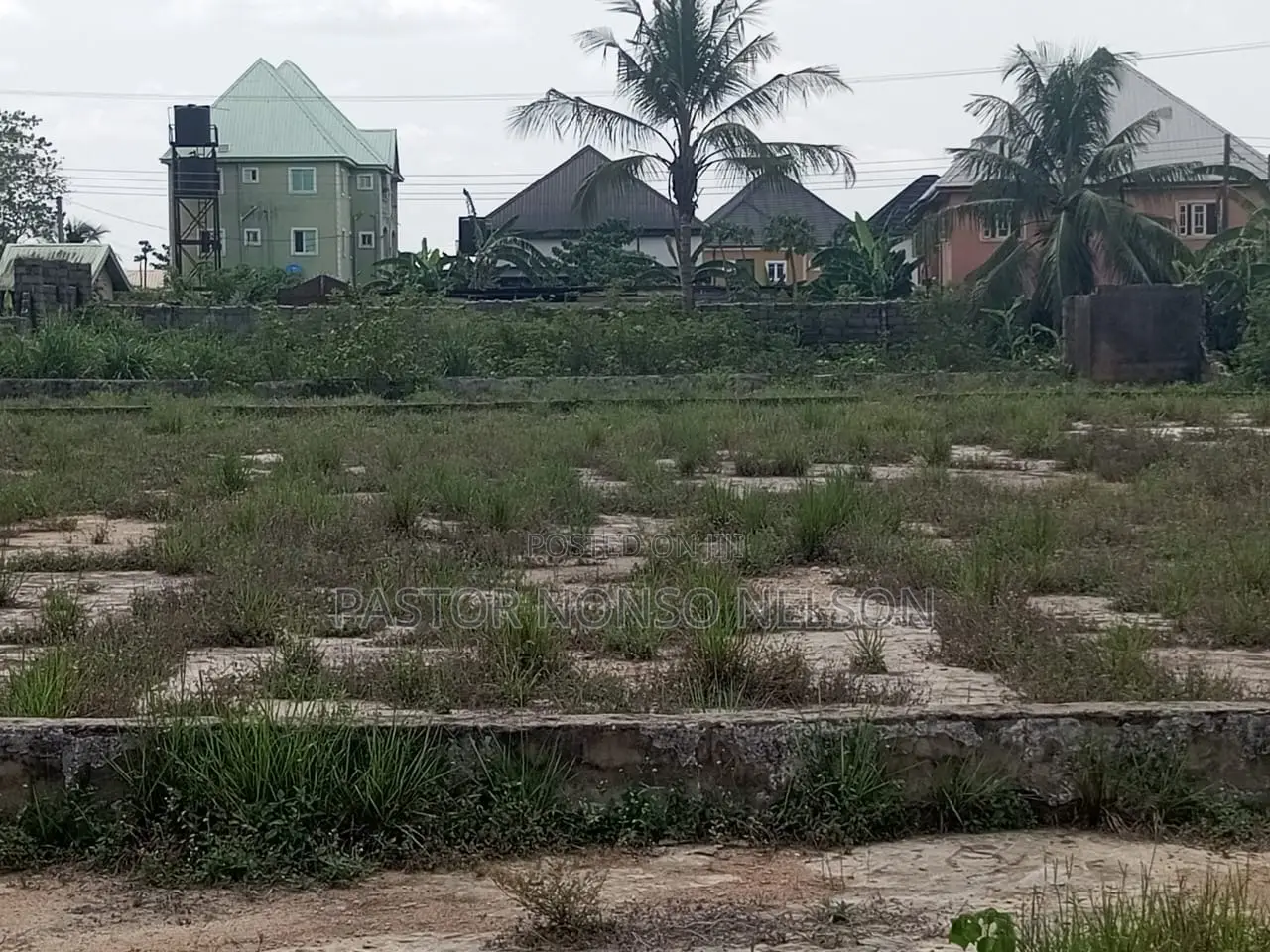 4 Shareable Plots at Obinze Behind White House