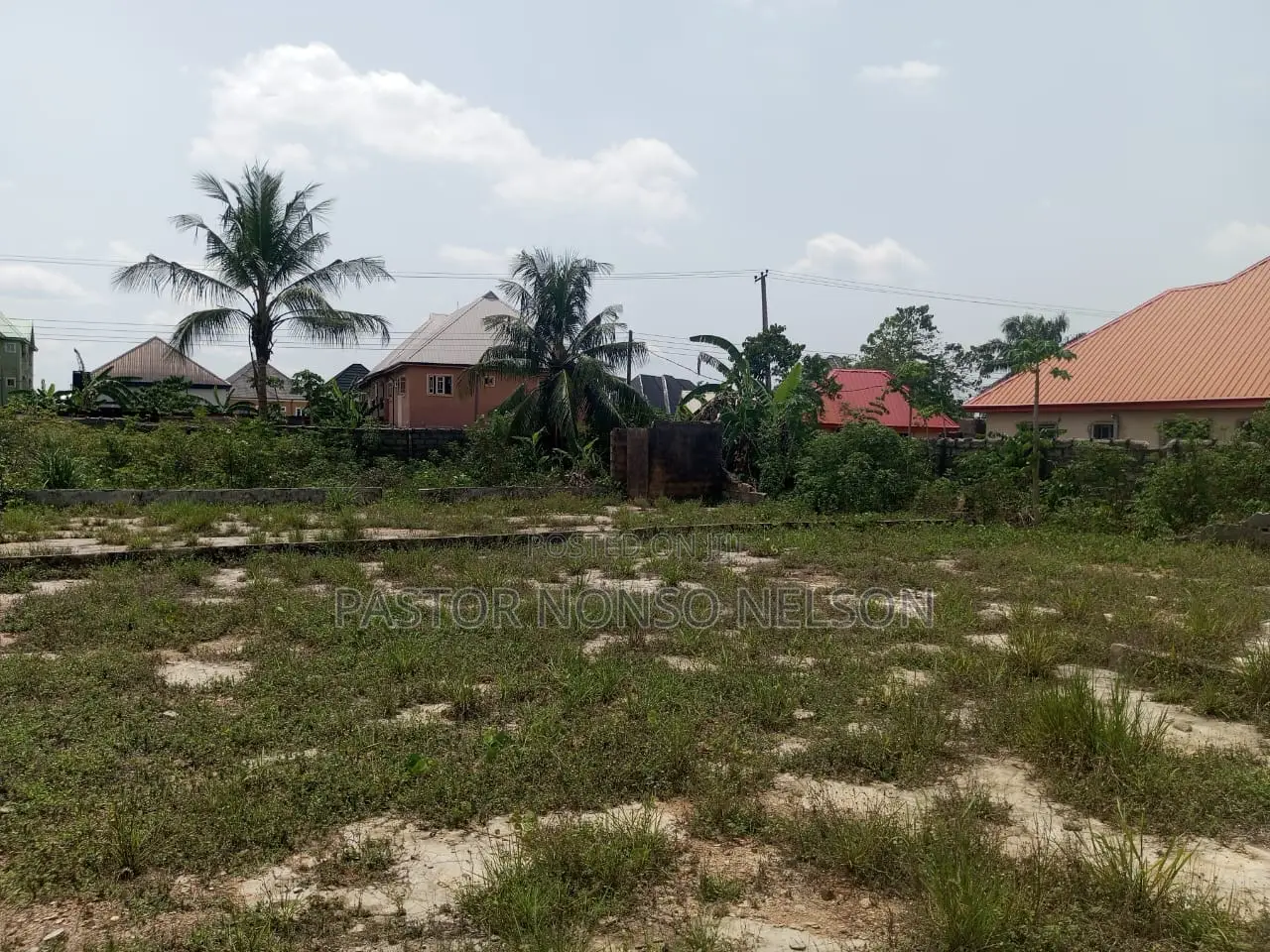 4 Shareable Plots at Obinze Behind White House