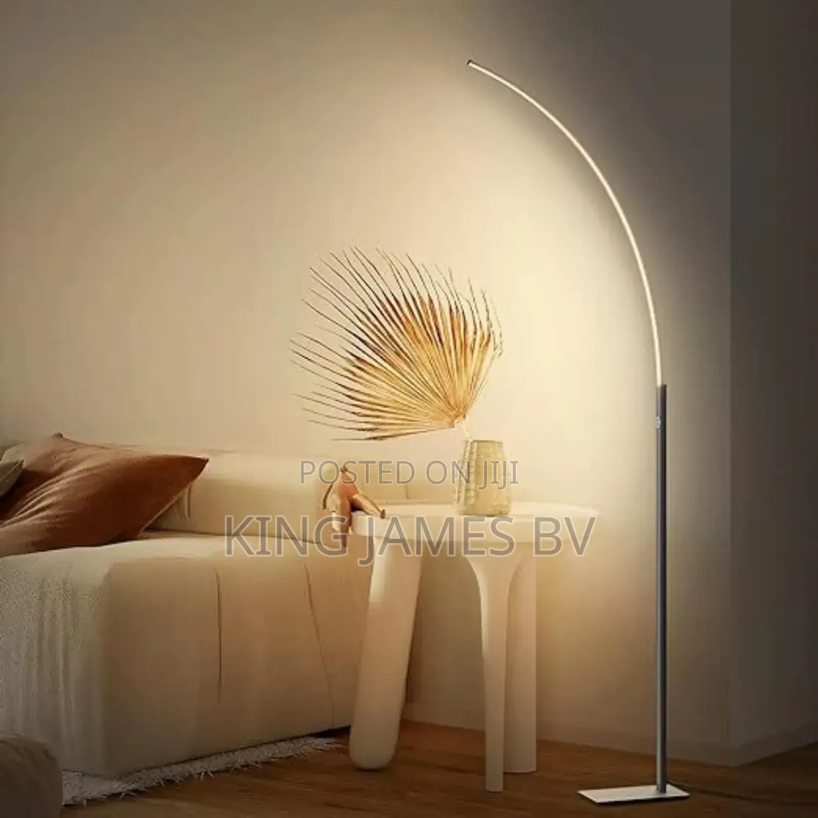 Curved Head Floor Lamp
