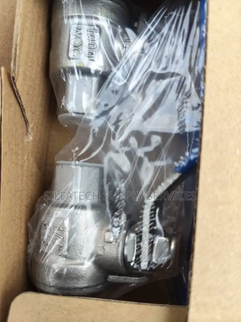 Stainless Gate Valve and Nipple