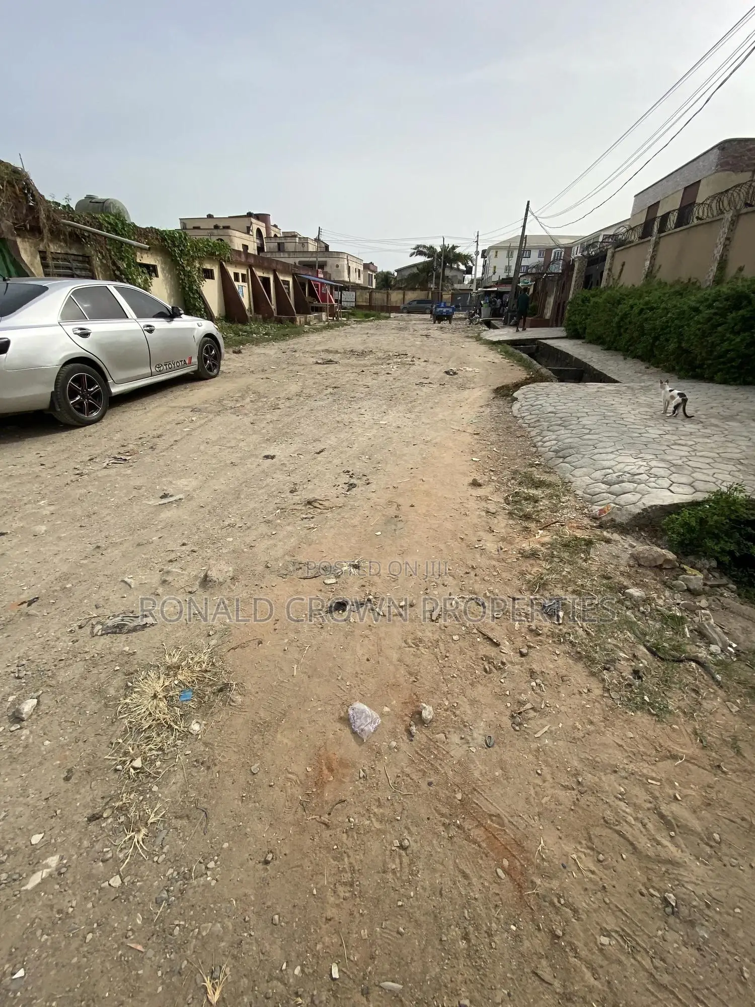 Complete Dry , Fenced and Gated Full Plot of Land at Ago Palace, Isolo