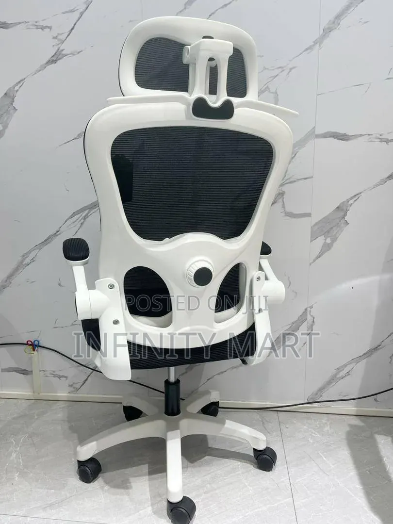 Adjustable Ergonomic Chair.