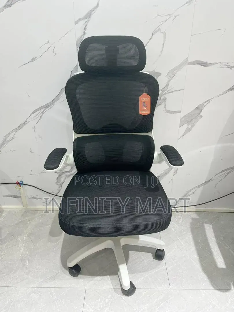 Adjustable Ergonomic Chair.