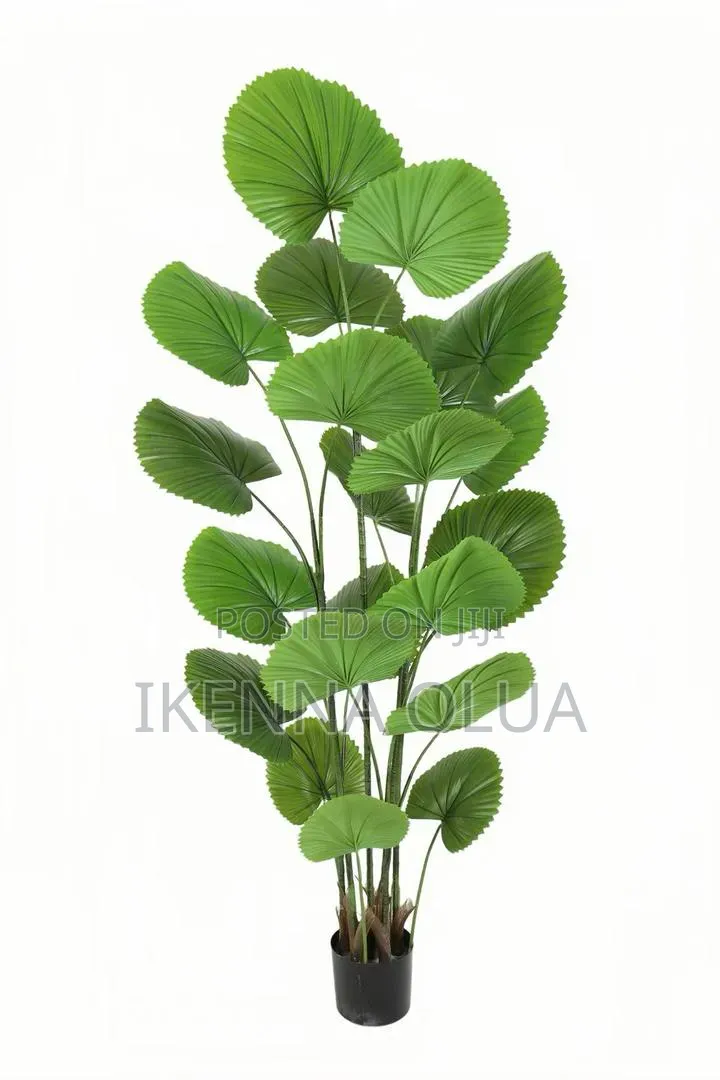 Flowers Vase