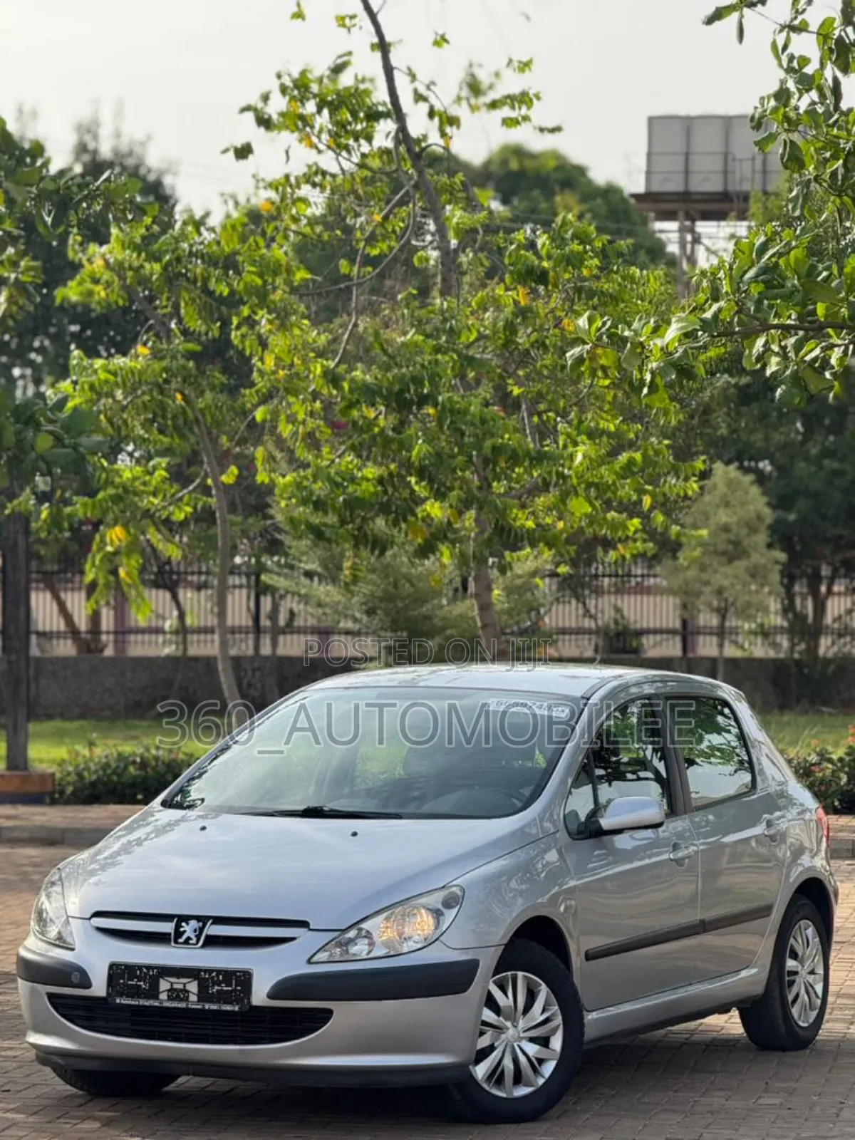 Peugeot 307 2005 Silver