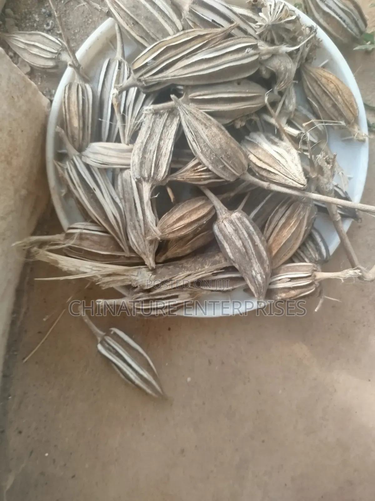 Okra Planting Seeds ( Retail