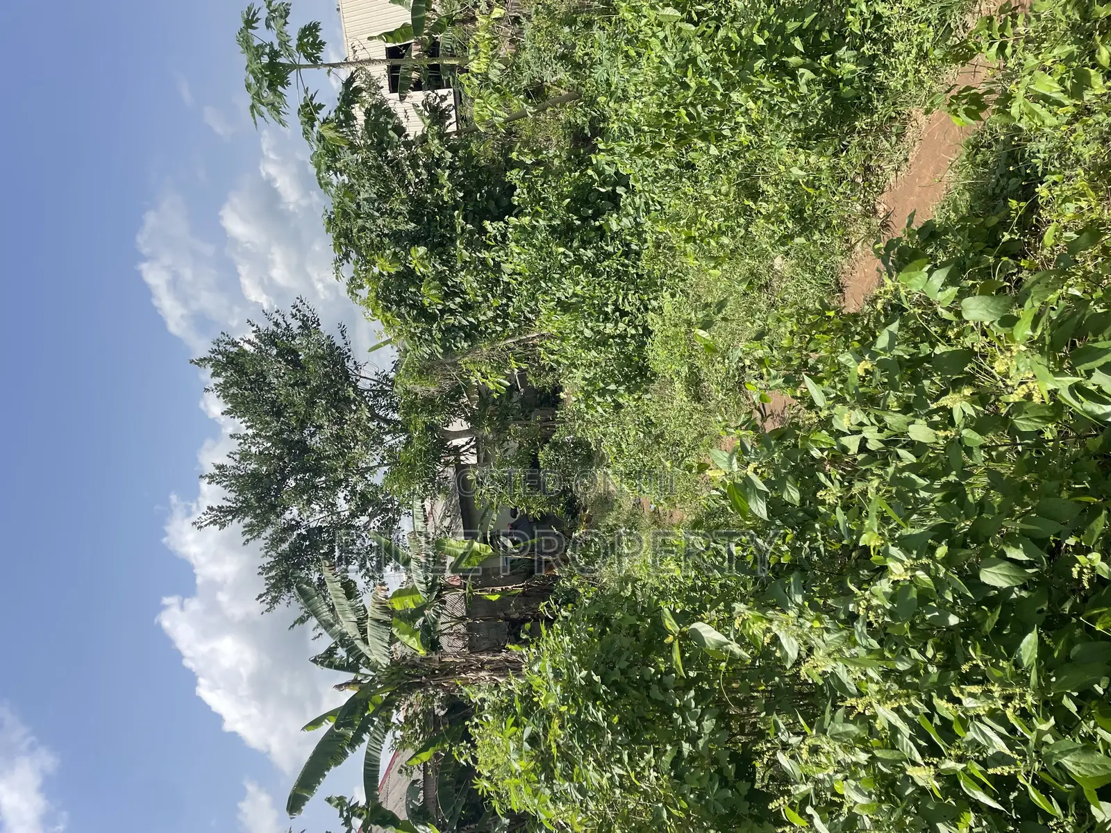 A Complete Full Plot of Land in a Cool and Serene Environment