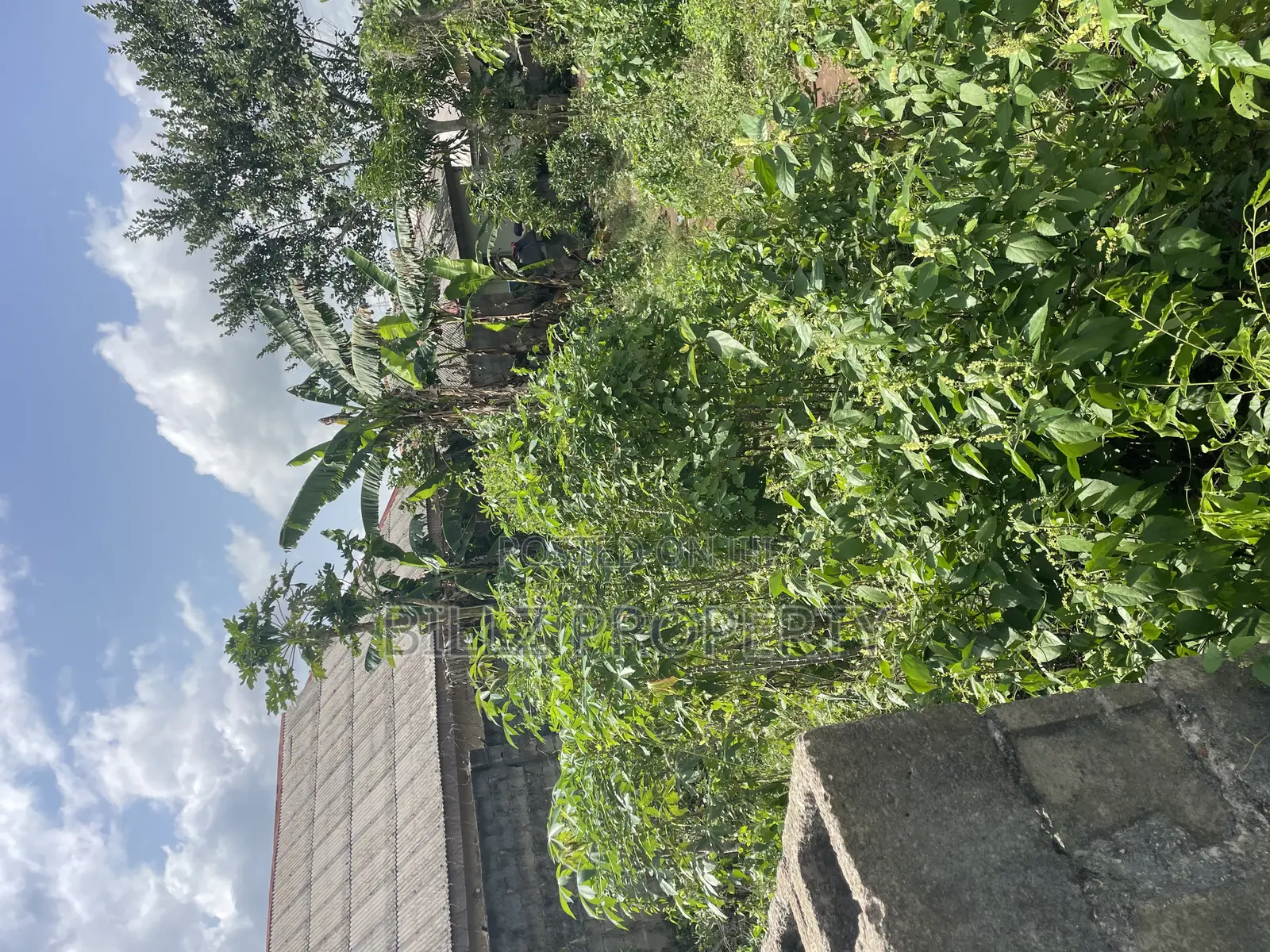 A Complete Full Plot of Land in a Cool and Serene Environment