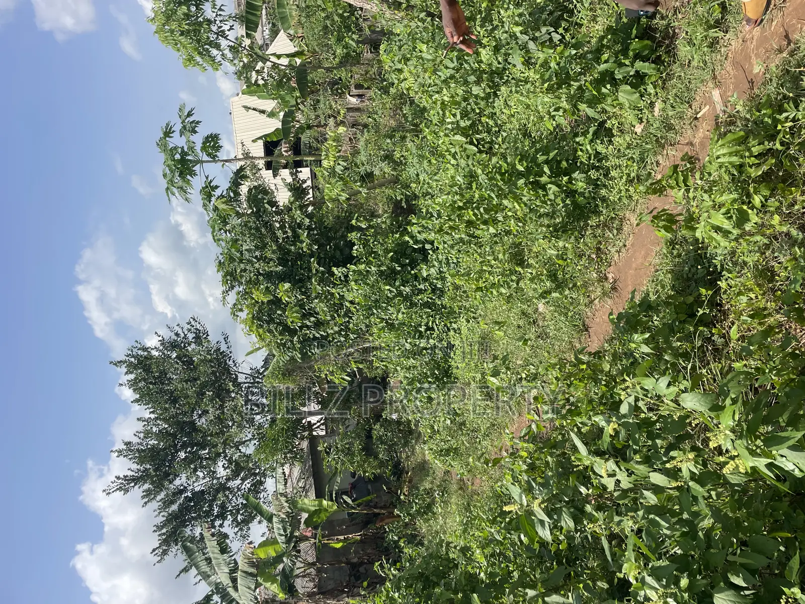 A Complete Full Plot of Land in a Cool and Serene Environment