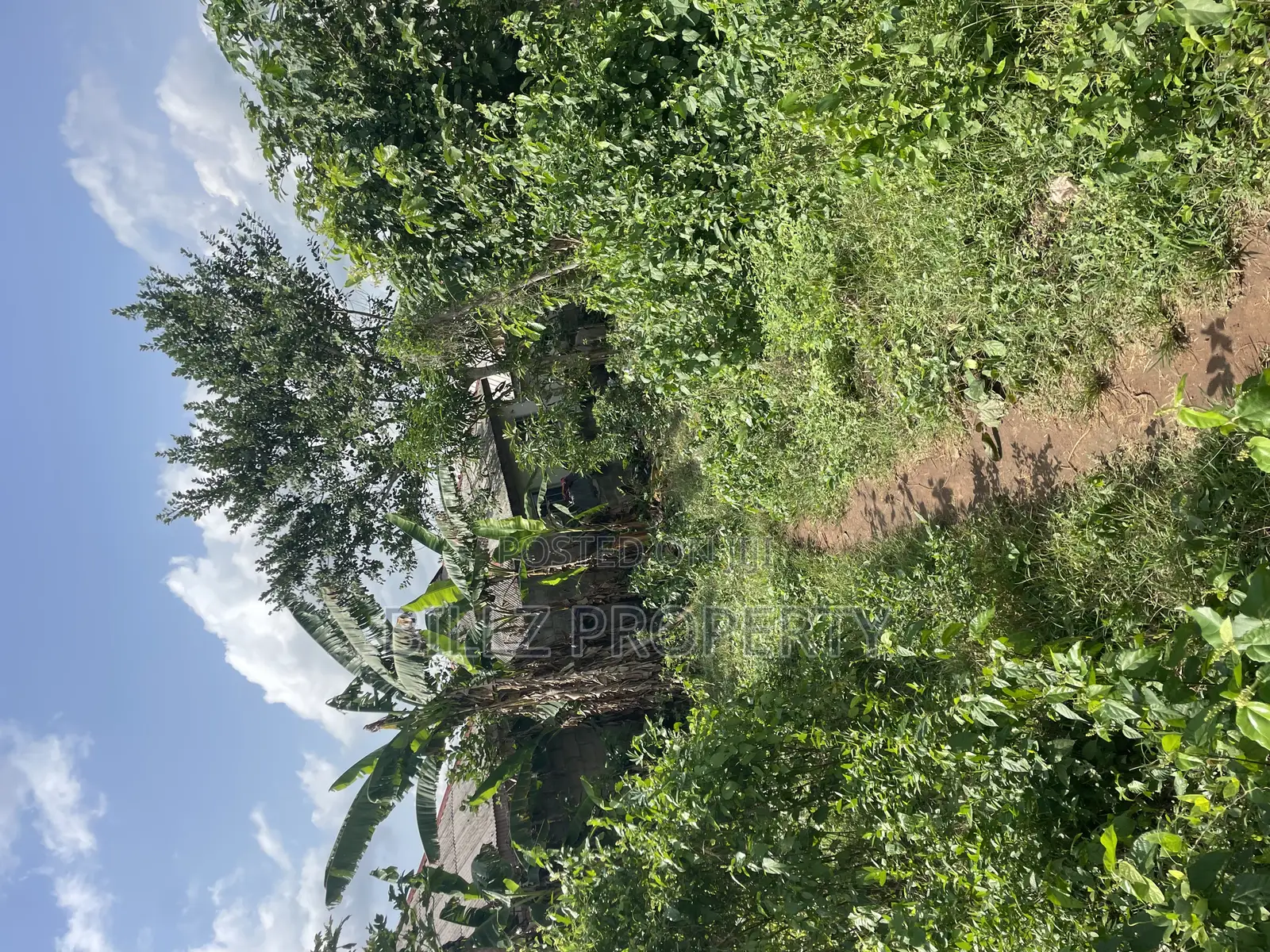 A Complete Full Plot of Land in a Cool and Serene Environment
