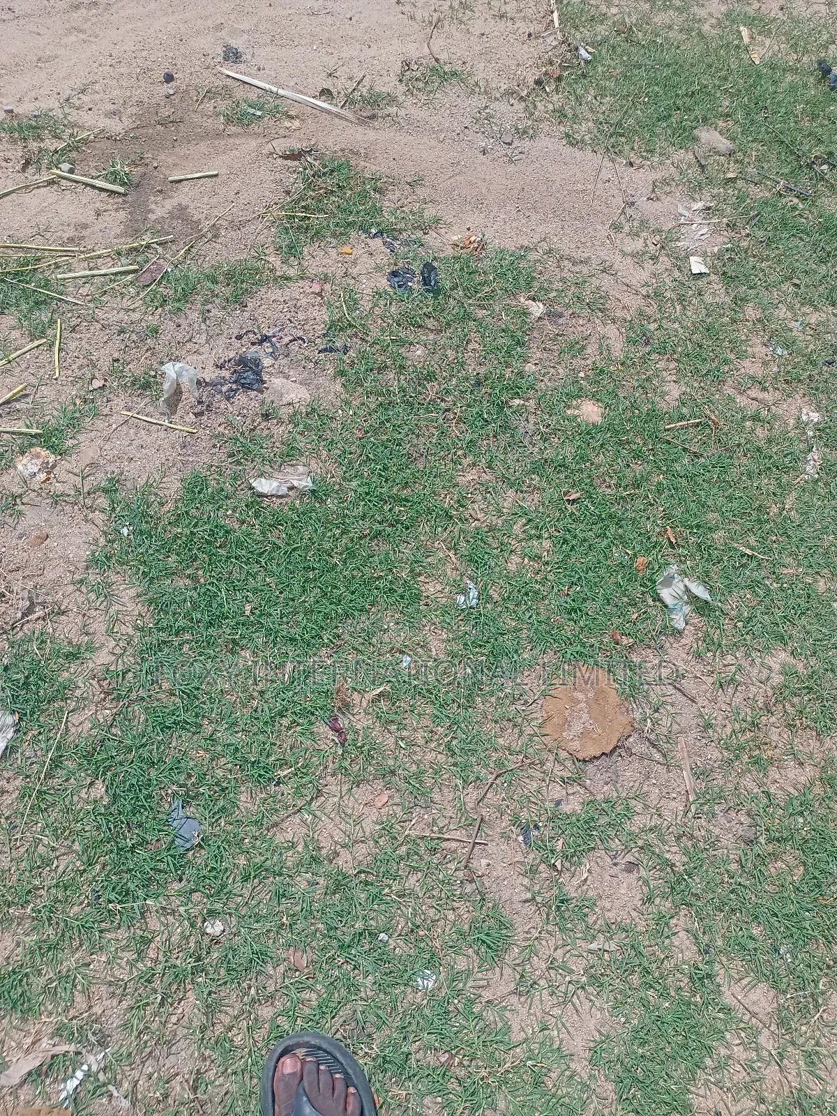 Commercial Land For Sale