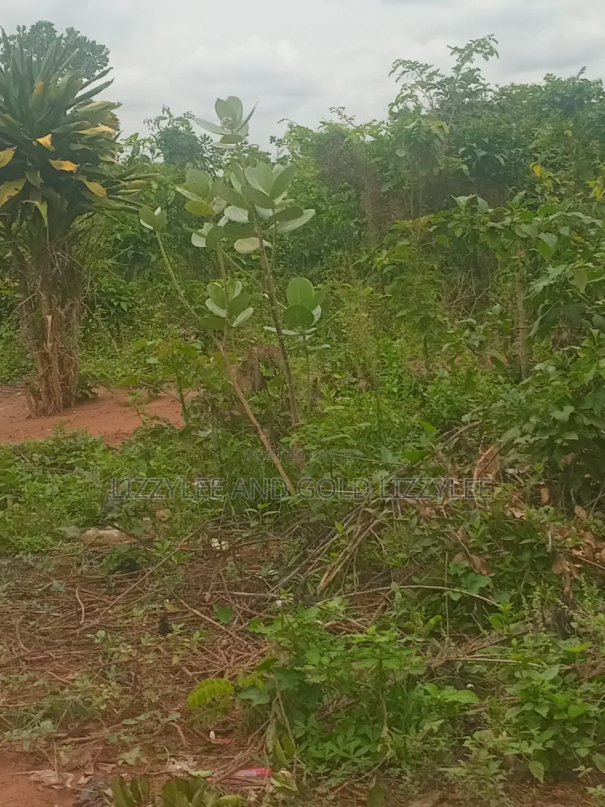 1000 Acres of Farmland Is Available for Sale