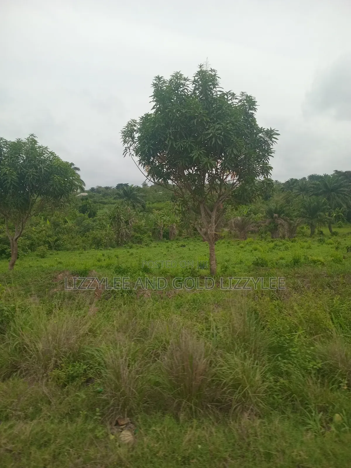 1000 Acres of Farmland Is Available for Sale