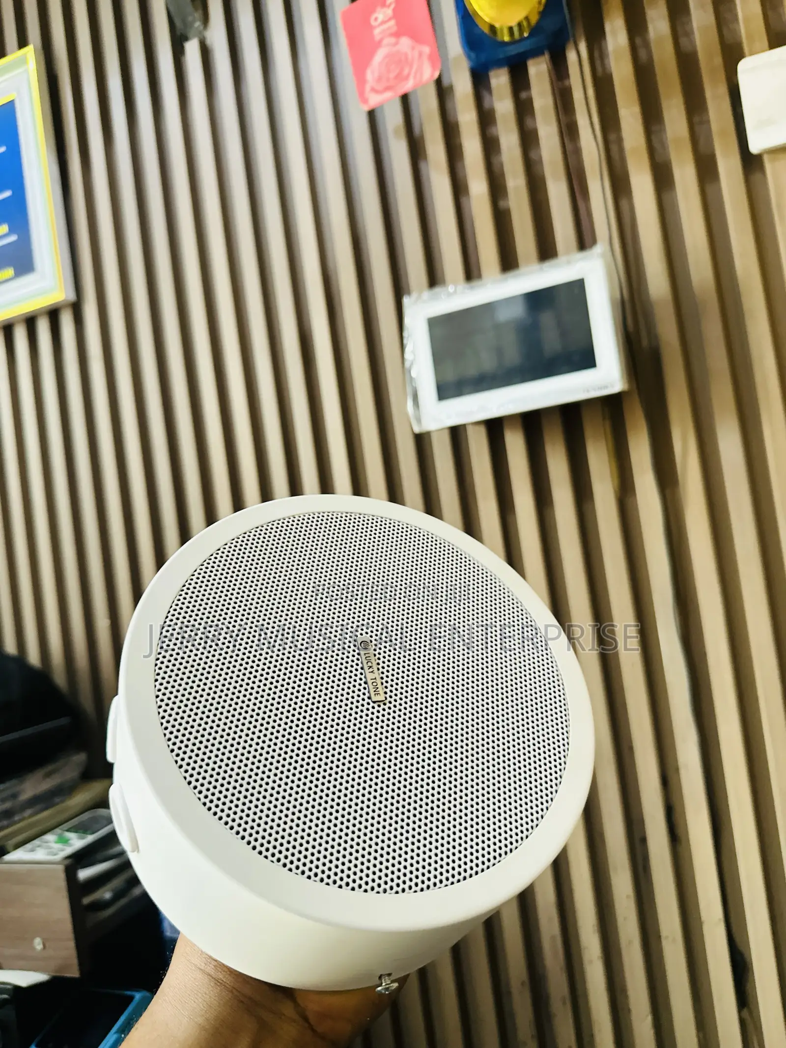 30w Surface Mounted Speakers