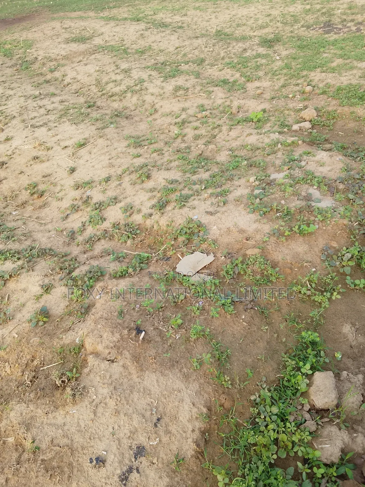 100 Hectares Land for Sale at Maitama2