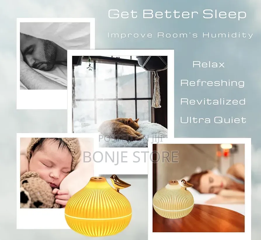 300ml Usb Air Humidifier Onion Style Humidifier With Night Light + Oil