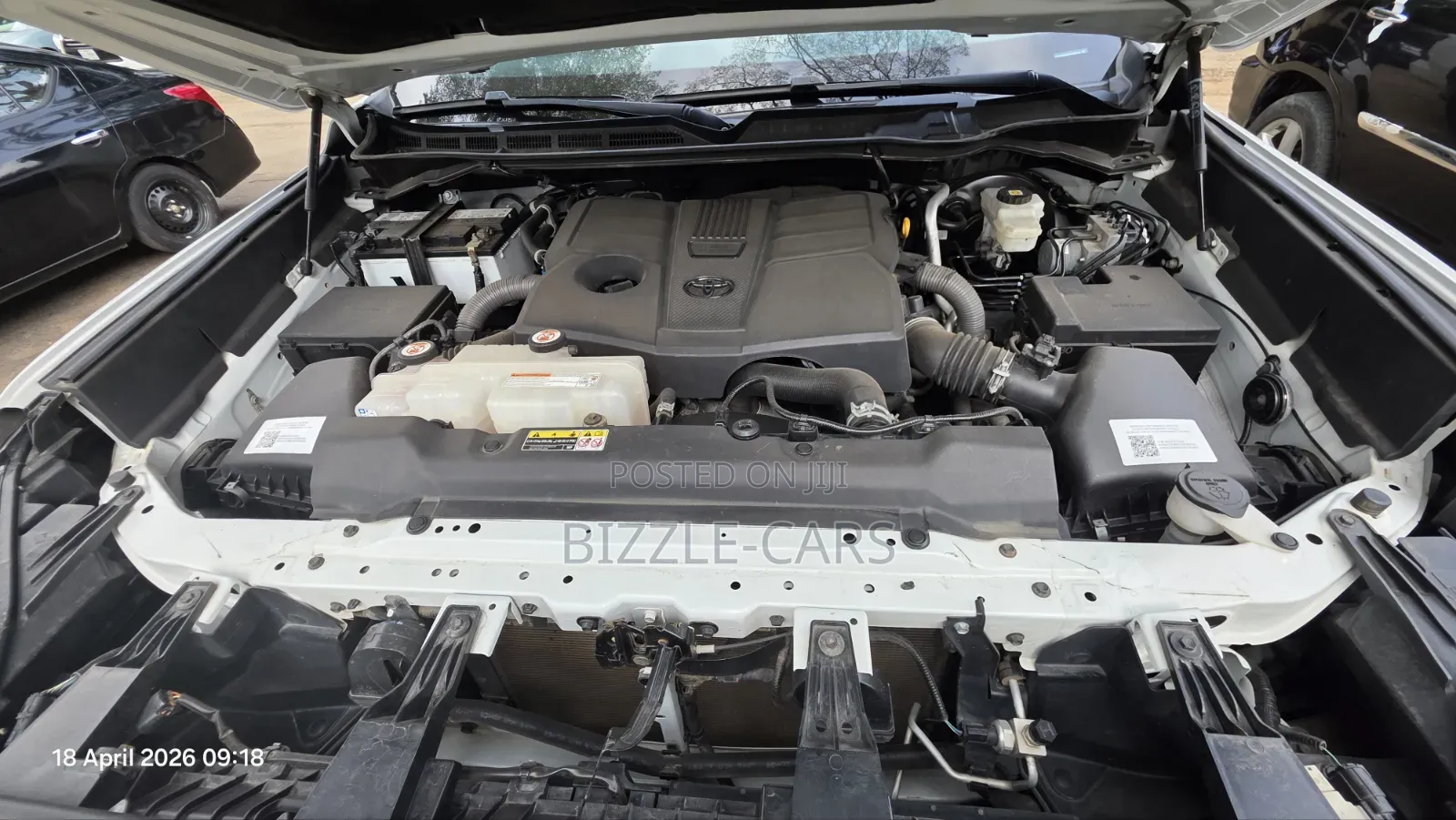 Toyota Tundra 1794 2022 White