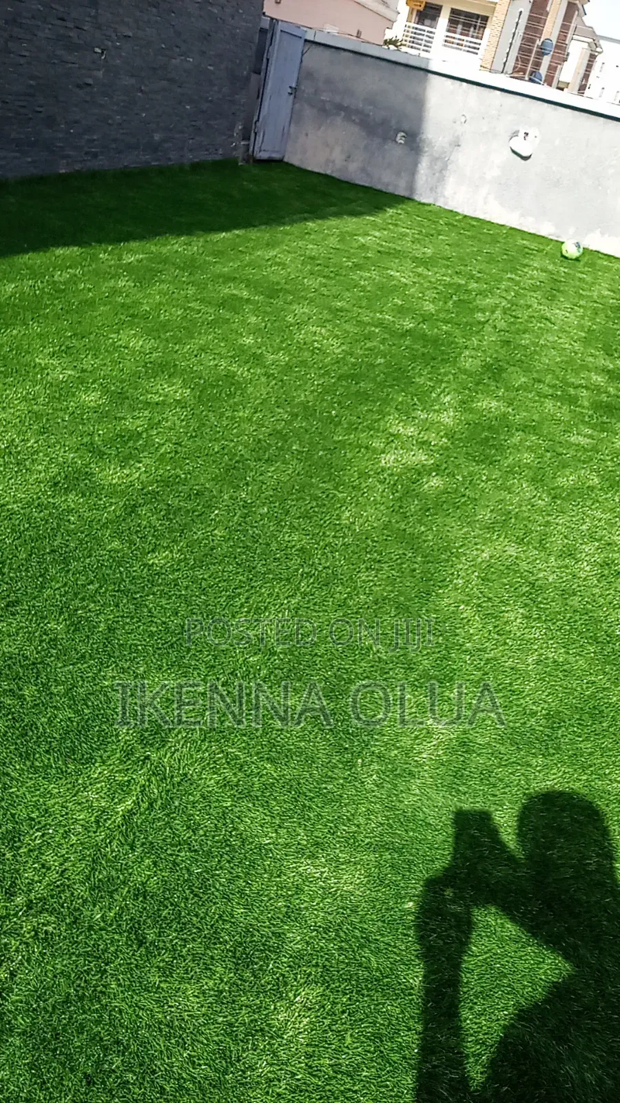 25mm Carpet Grass