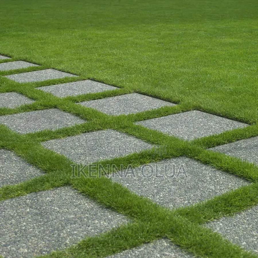 40mm Carpet Grass