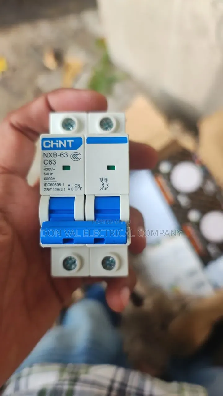 63amp 2pole Chint Miniature Circuit Breaker (Mcb)