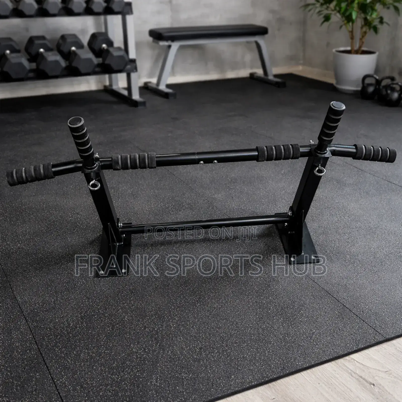 Wall Mount Pull Up Bar