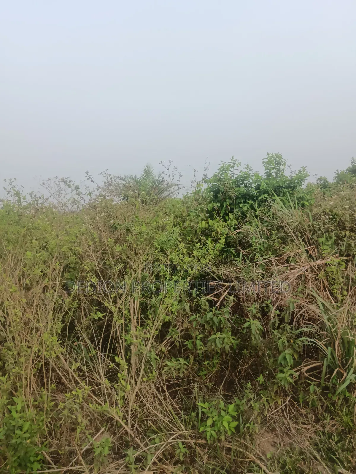 Agbara Land for Sale With Verifiable Lagos State C of O