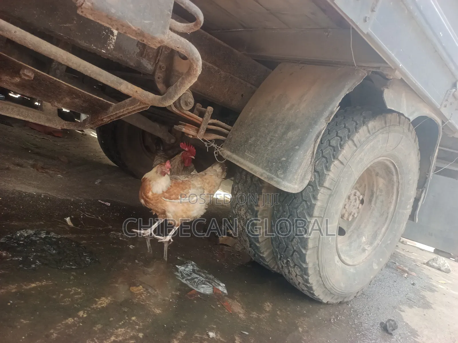Nissan Pick-Up Truck (Foreign Used) 6 Tyres