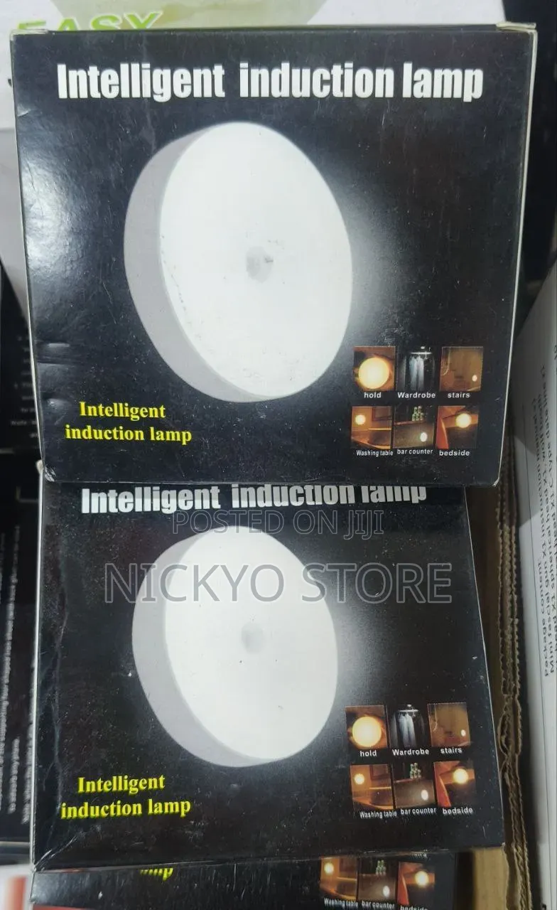 Intelligent Induction Lamp (Motion Sensor Light)