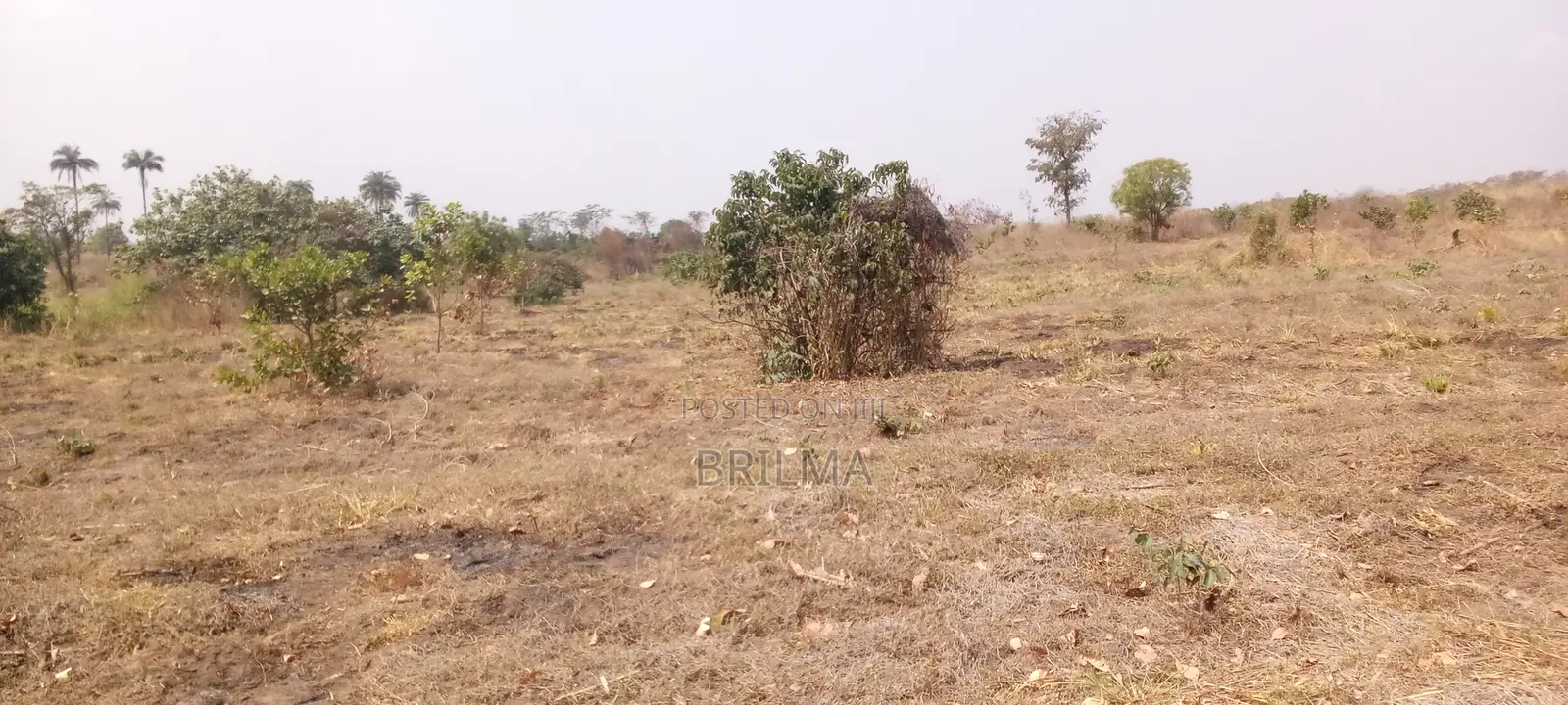 915 SQM of Plot for Sale in Gaduwa