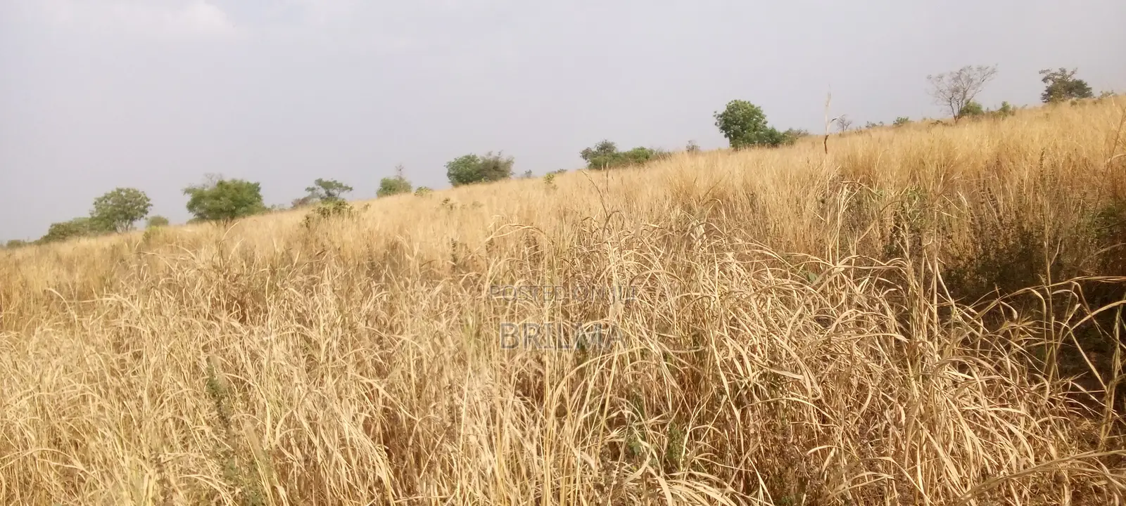 915 SQM of Plot for Sale in Gaduwa