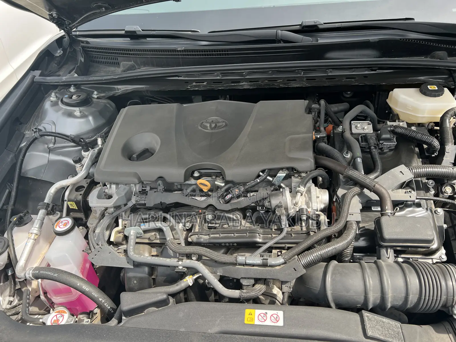 New Toyota Camry SE 2025 Gray