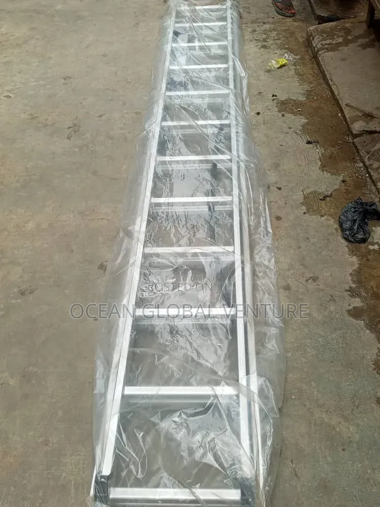 12 by 2 Extension Ladder