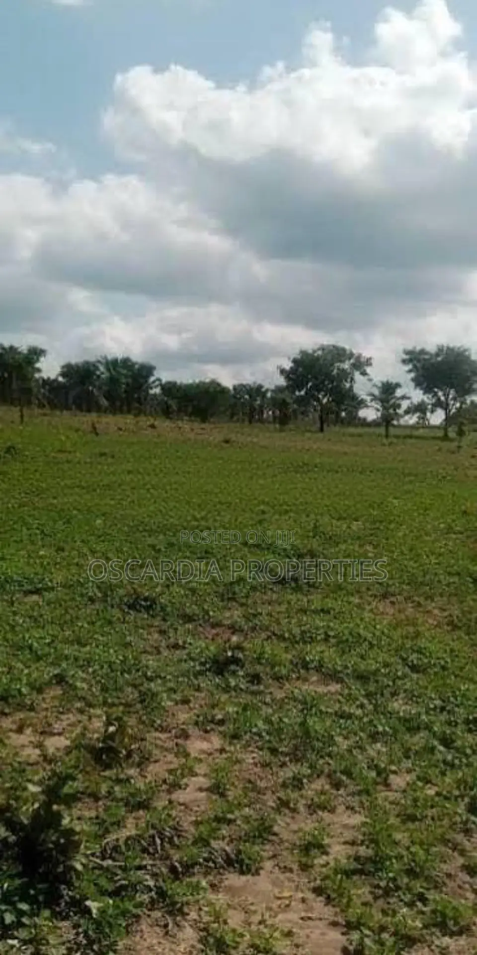 150 Hectares Apo Wasa Abuja For Sale