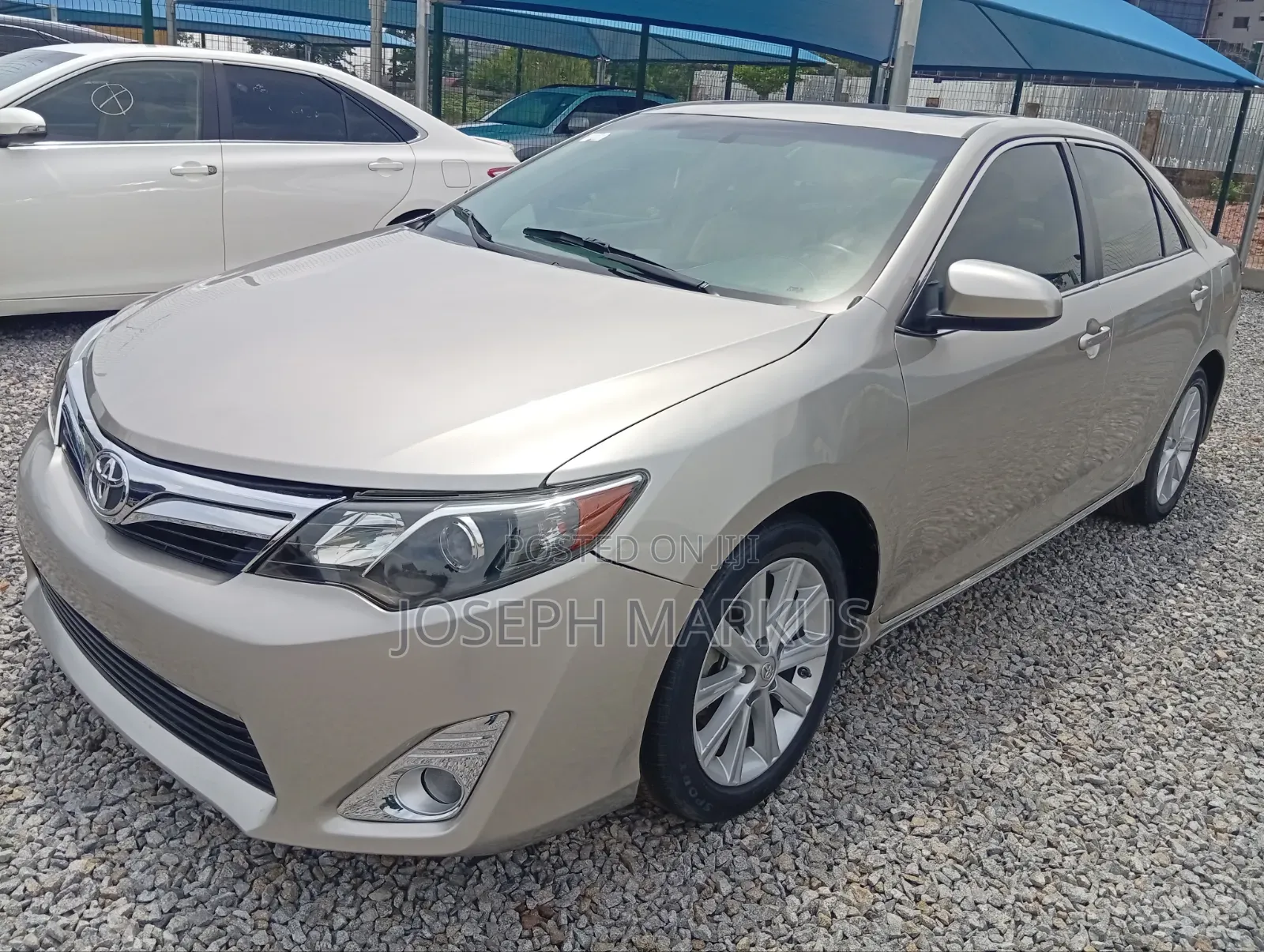 Toyota Camry XLE 4dr Sedan (2.5L 4cyl 6A) 2014 Gold