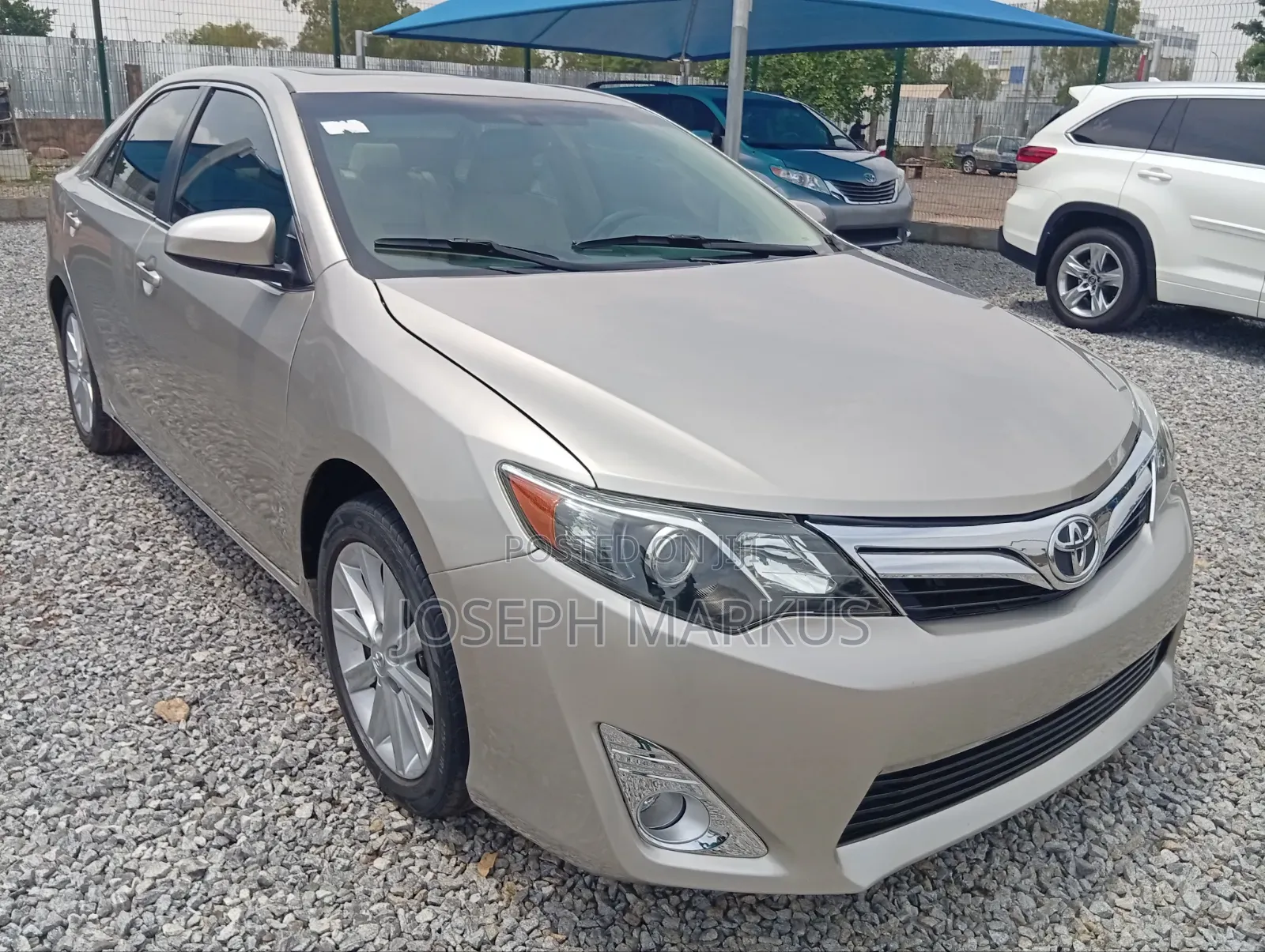 Toyota Camry XLE 4dr Sedan (2.5L 4cyl 6A) 2014 Gold