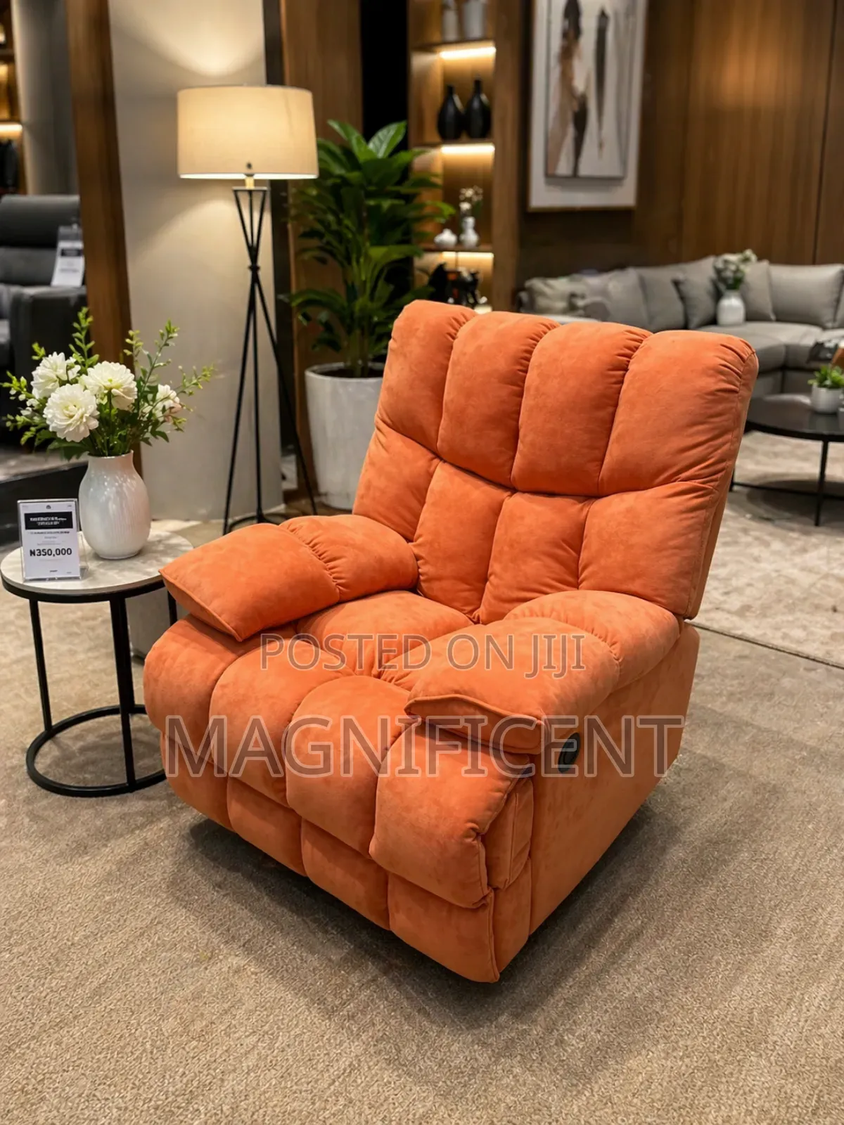 Premium Luxury Recliner Sofa Chair – Adjustable Relaxat Reading Light
