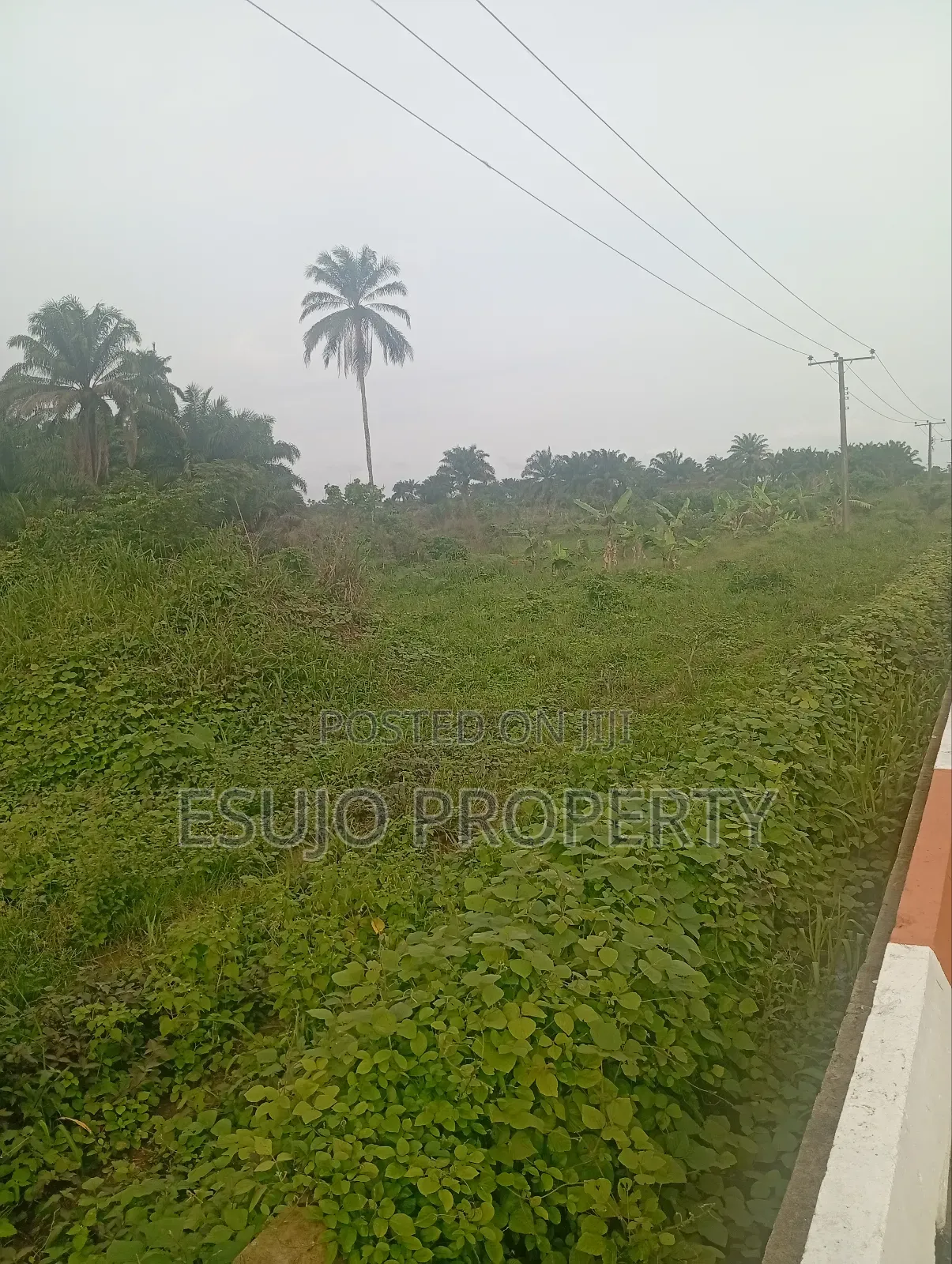Land at Airport Road for Sale