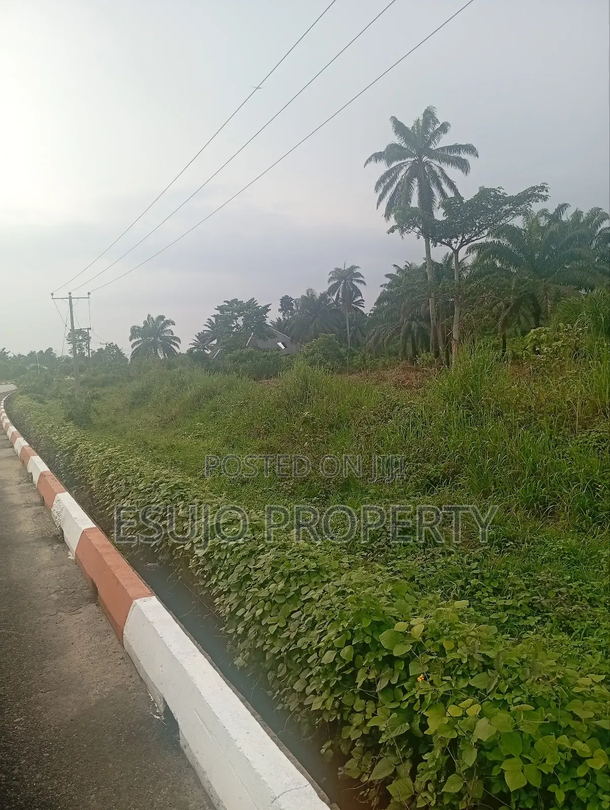 Land at Airport Road for Sale