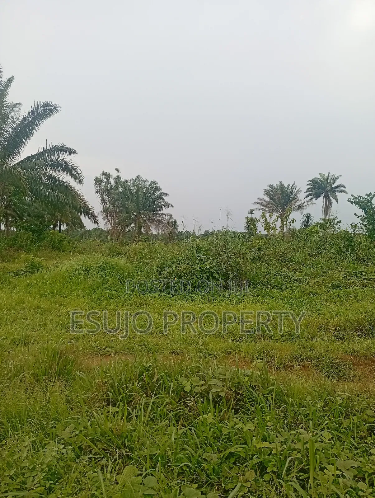 Land at Airport Road for Sale