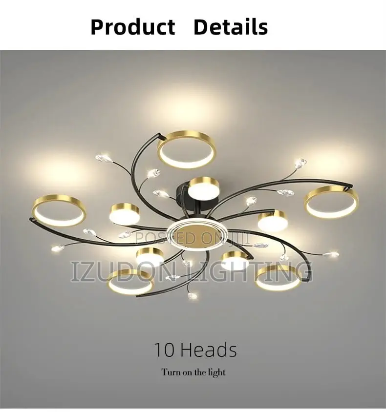 10 Hand Luxury Ceiling Chandelier Light